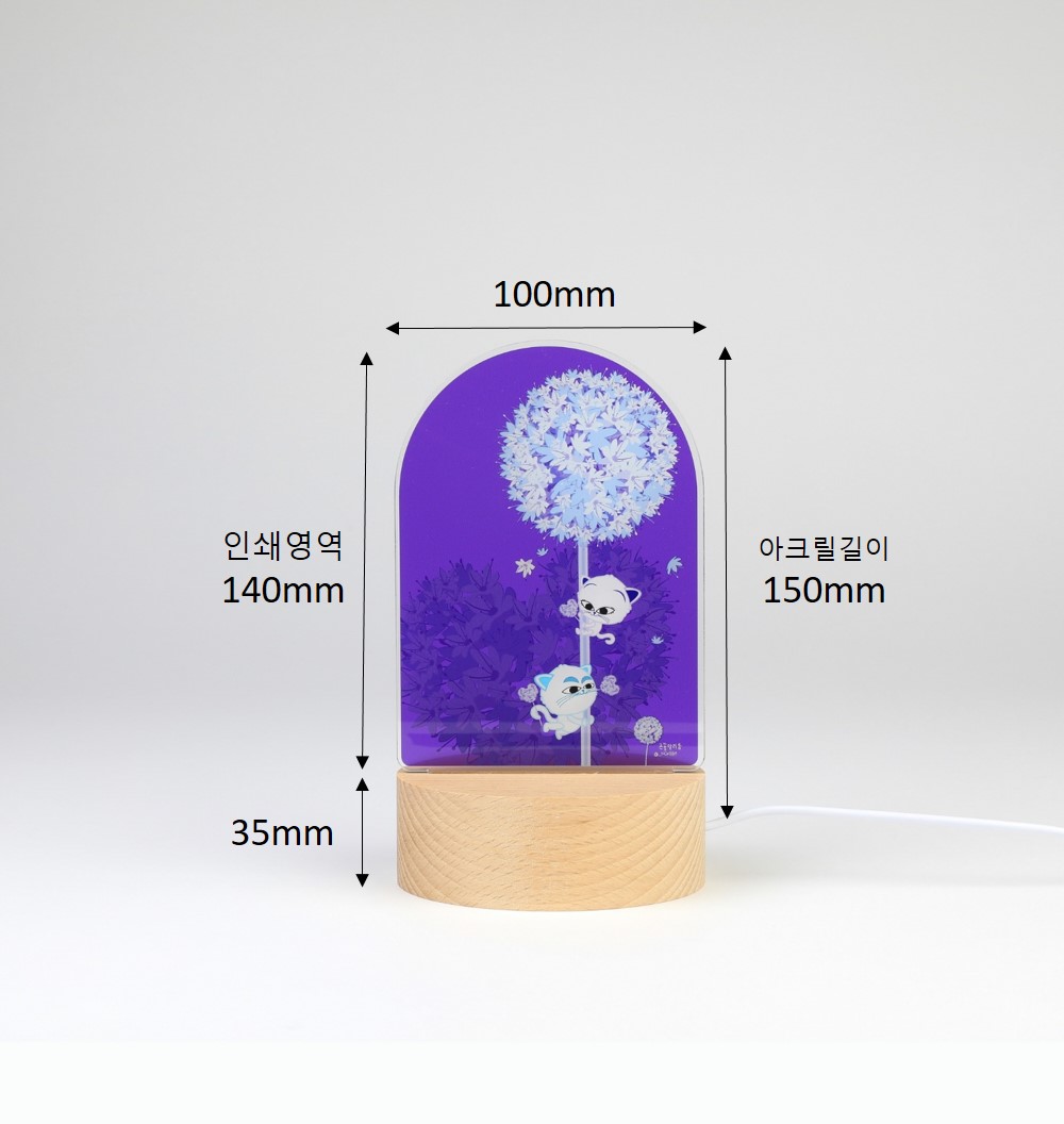 »çÀÌÁî ¾È³»