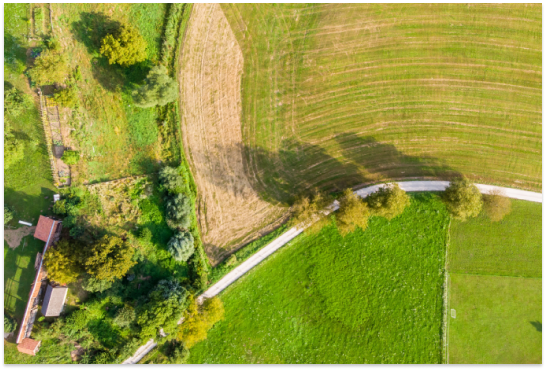 ���� ��ȭ ����