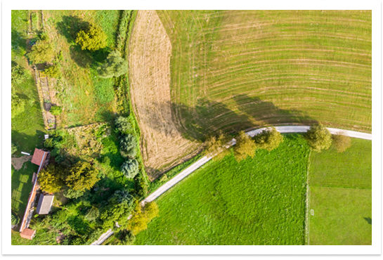 ���� ��ȭ ����