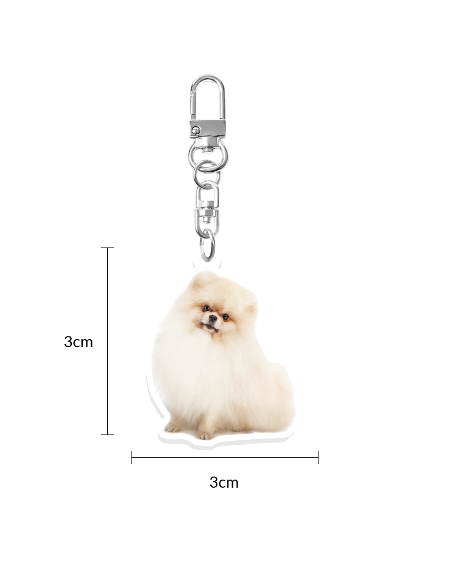 ��ũ�� Ű�� Sub 3.5cm ������ ����